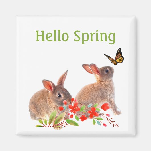 hallo Spring Bunny Rabbit en Butterfly Magneet (Voorkant)