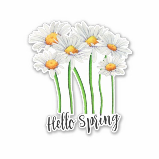 hallo Spring, Daisy Flowers Design Sticker (Voorkant)