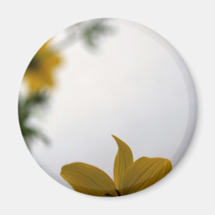 hallo Spring Yellow Flowers Magnet