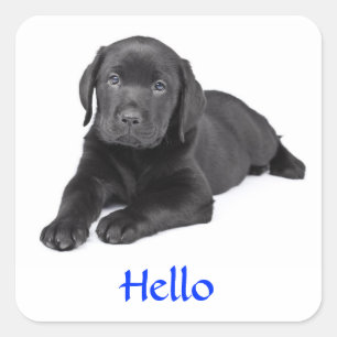 Hallo Sticker Black Labrador Retriever Puppy