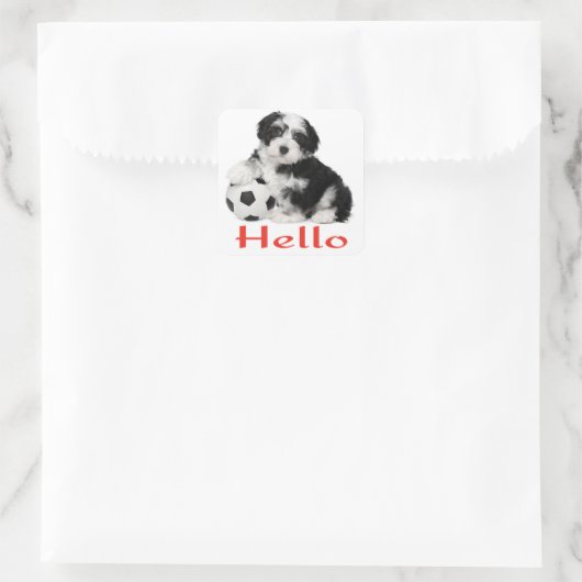 Hallo Sticker Havanese Puppy Dog (Tas)