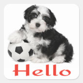 Hallo Sticker Havanese Puppy Dog (Voorkant)