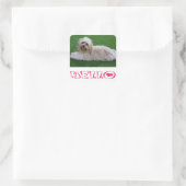 Hallo Sticker Havanese Puppy Dog (Tas)