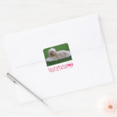 Hallo Sticker Havanese Puppy Dog (Envelop)