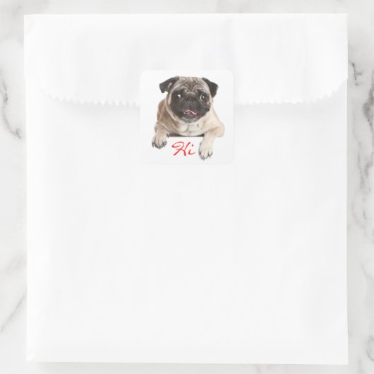 Hallo Sticker Pug Puppy Dog (Tas)