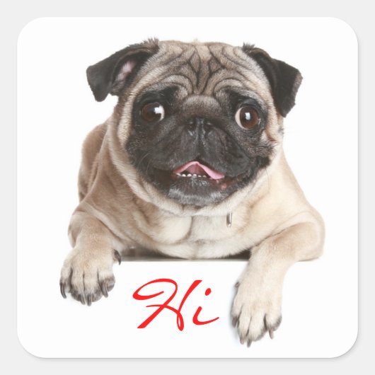 Hallo Sticker Pug Puppy Dog (Voorkant)