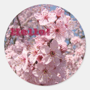 Hallo! stickers Roze Boom Bloesem Bloemen Florals