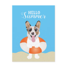 hallo Summer Corgi Beach Dogs