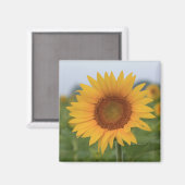 hallo Sunflower Magnet (Voorkant / Achterkant)