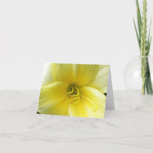 hallo Sunshine Kaart