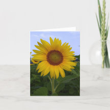 hallo Sunshine Note Card