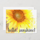 "Hallo, Sunshine!" Zonnebloem, Briefkaart (Voorkant / Achterkant)