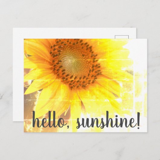 "Hallo, Sunshine!" Zonnebloem, Briefkaart (Voorkant / Achterkant)