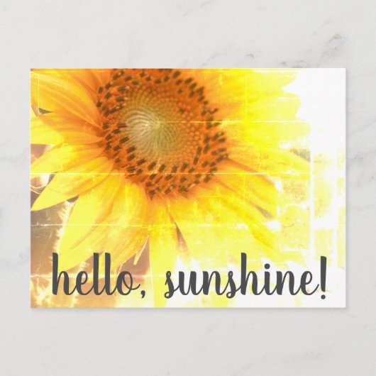 "Hallo, Sunshine!" Zonnebloem, Briefkaart (Voorkant)