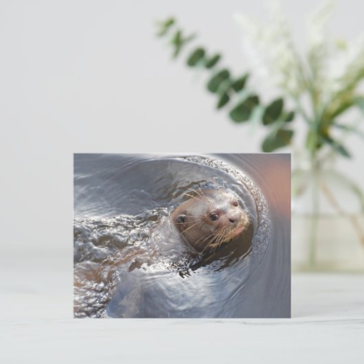 HALLO u Briefkaart (Staand voorkant)