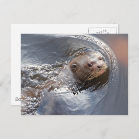 HALLO u Briefkaart (Voorkant / Achterkant)