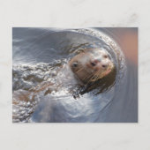 HALLO u Briefkaart (Voorkant)