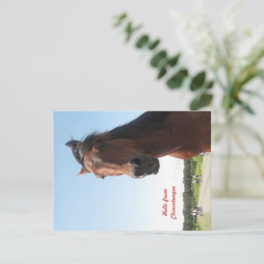 hallo uit Chincoteague Briefkaart (Staand voorkant)