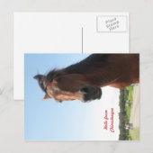 hallo uit Chincoteague Briefkaart (Voorkant / Achterkant)