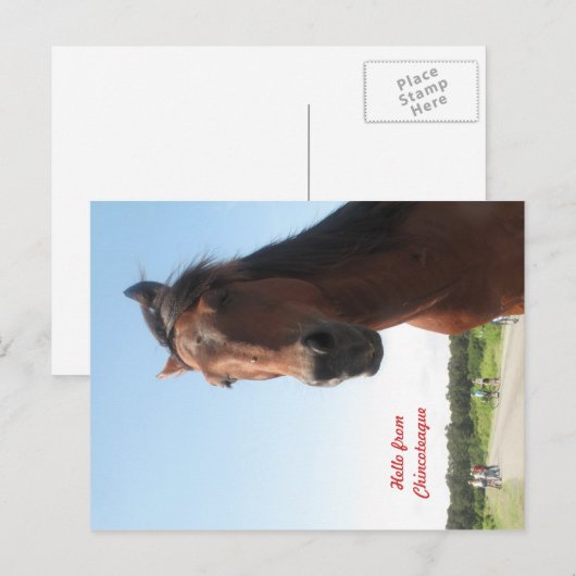 hallo uit Chincoteague Briefkaart (Voorkant / Achterkant)