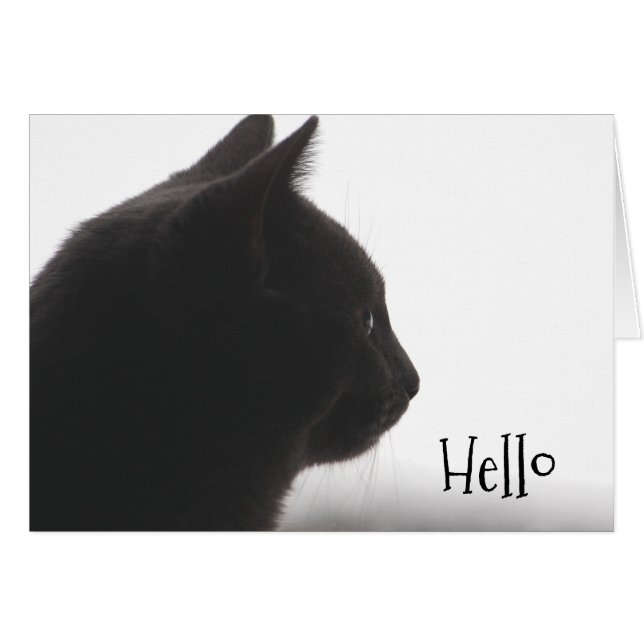 hallo uit een keukenkat (Voorkant Horizontaal)