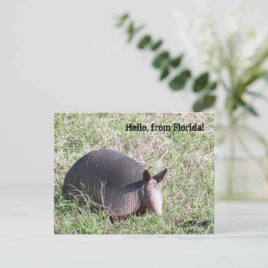 hallo uit Florida! Briefkaart (Staand voorkant)