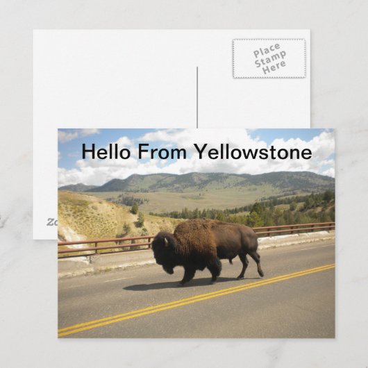 hallo uit geelsteen Briefkaart (Voorkant / Achterkant)