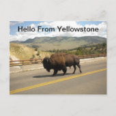 hallo uit geelsteen Briefkaart (Voorkant)