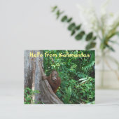 hallo uit Kalimantan Borneo Indonesia Briefkaart (Staand voorkant)
