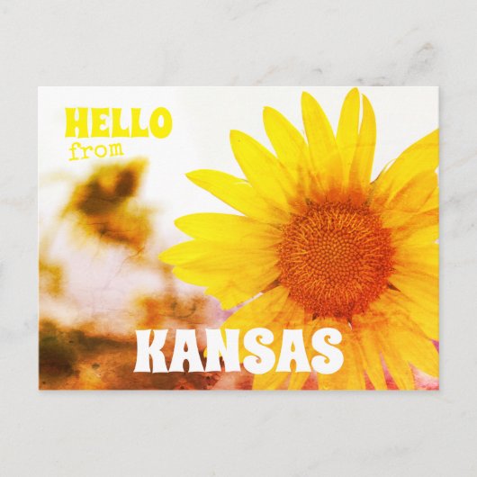hallo uit Kansas Sunflower Briefkaart (Voorkant)