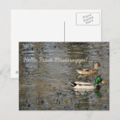 hallo uit Mississippi! Briefkaart (Voorkant / Achterkant)