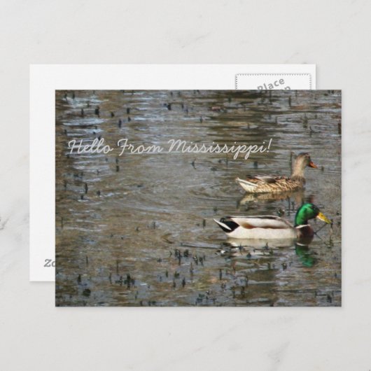 hallo uit Mississippi! Briefkaart (Voorkant / Achterkant)