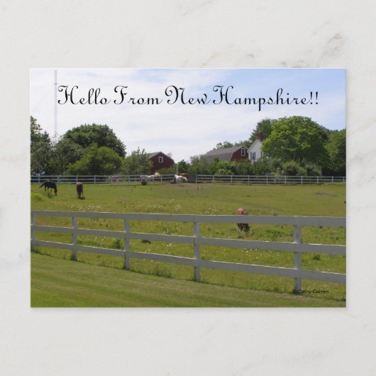 hallo uit New Hampshire Briefkaart (Voorkant)