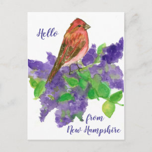 hallo uit New Hampshire Paars Finch Briefkaart