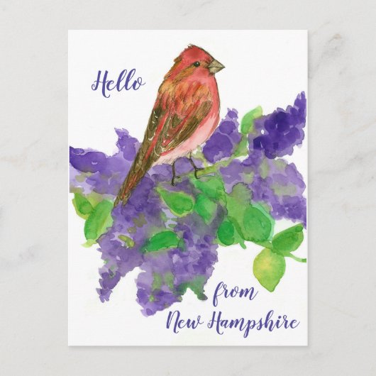 hallo uit New Hampshire Paars Finch Briefkaart (Voorkant)