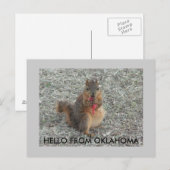 hallo UIT OKLAHOMA Briefkaart (Voorkant / Achterkant)