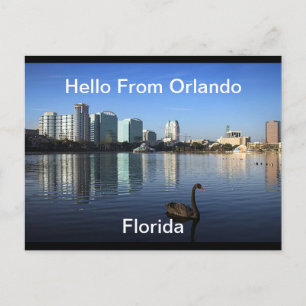 hallo uit Orlando, Briefkaart van Florida
