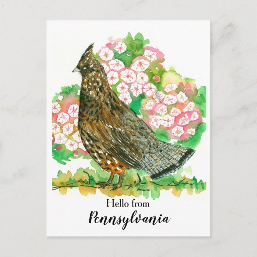 Hallo Uit Pennsylvania Ruffed Grouse Bird Briefkaart (Voorkant)