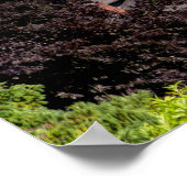 hallo uit Seattle, Washington. Uitzicht in het cen Poster (Hoek)