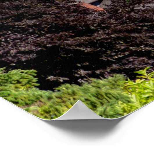 hallo uit Seattle, Washington. Uitzicht in het cen Poster (Hoek)