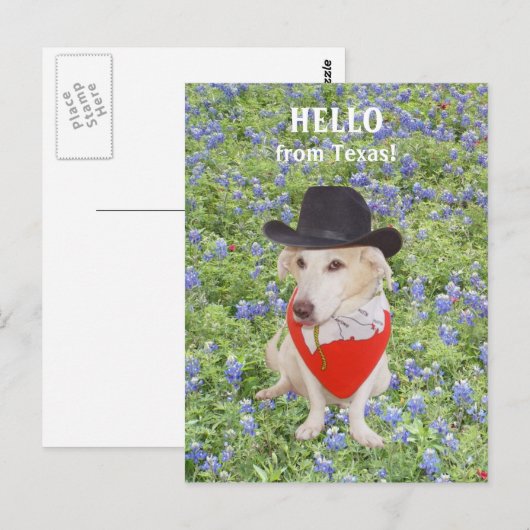 hallo uit Texas. Briefkaart (Voorkant / Achterkant)