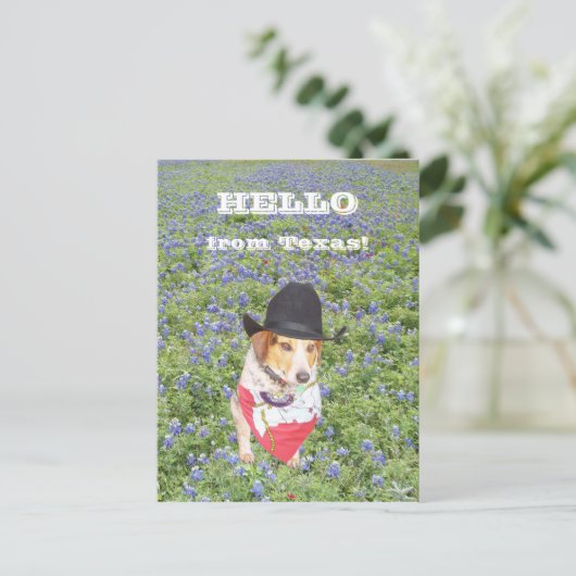 hallo uit Texas. Briefkaart (Staand voorkant)