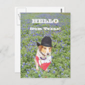 hallo uit Texas. Briefkaart (Voorkant / Achterkant)