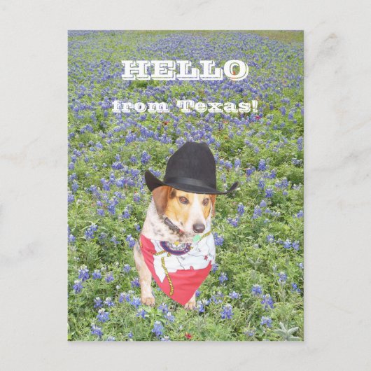 hallo uit Texas. Briefkaart (Voorkant)