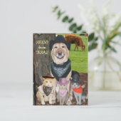 hallo uit Texas. Briefkaart (Staand voorkant)