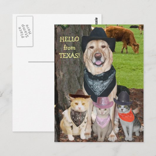 hallo uit Texas. Briefkaart (Voorkant / Achterkant)