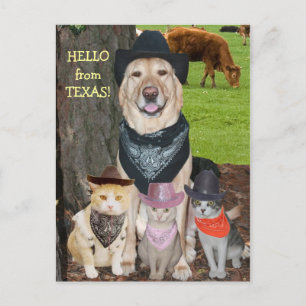hallo uit Texas. Briefkaart