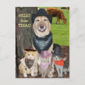 hallo uit Texas. Briefkaart (Voorkant)