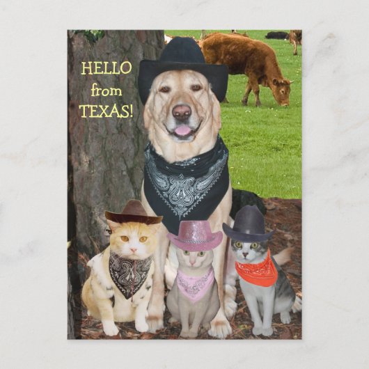 hallo uit Texas. Briefkaart (Voorkant)