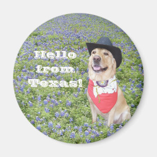 Hallo uit Texas! Magneet